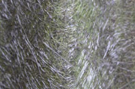 Achachork fibreglass roof work